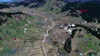 TRABZON Koronavirüs nedeniyle 'Mor Yayla'ya ziyaretçi yasağı