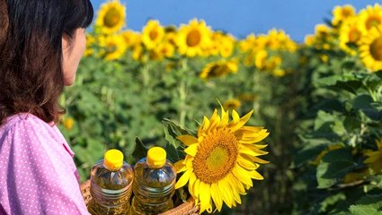 Sadece hasat döneminde geçerli olmak üzere, ayçiçeği yağı ve tohumunun ithalatında gümrük vergisi düşürüldü