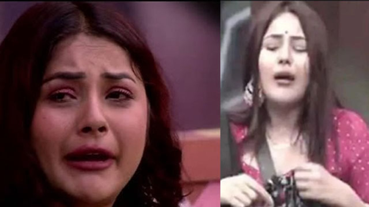 Shehnaz Gill का फीका पड़ने लगा है जादू, फैन्स के बीच कम हुई popularity| FilmiBeat