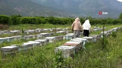 Arıcılar baharın gelmesiyle artan verimden memnun