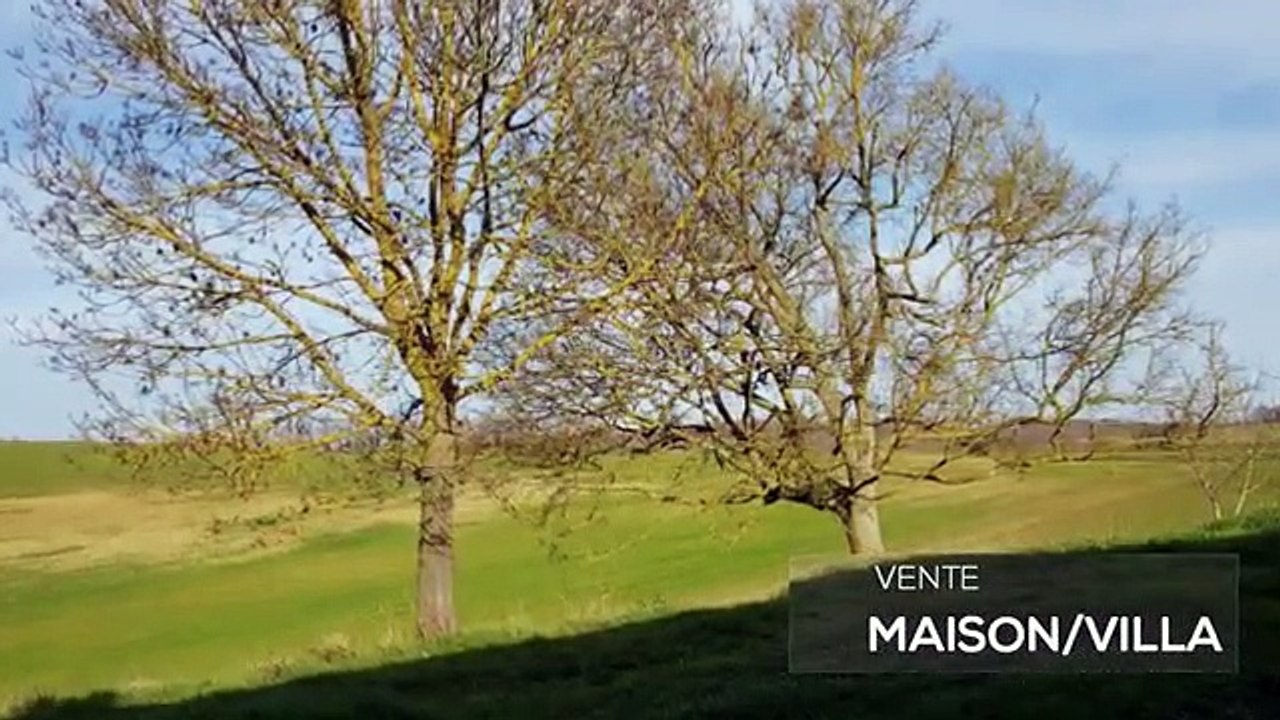 A vendre - Maison/villa - TRAVERSERES (32450) - 9 pièces - 150m²