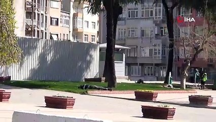 Türkiye eve çekildi, Cezayirli vatandaş parkta uyurken bulundu