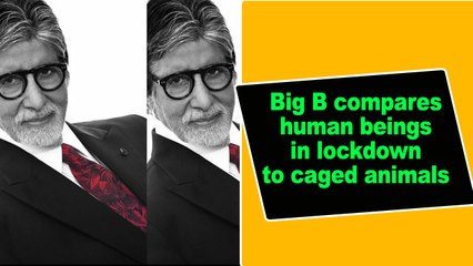 Big B compares human beings in lockdown to caged animals