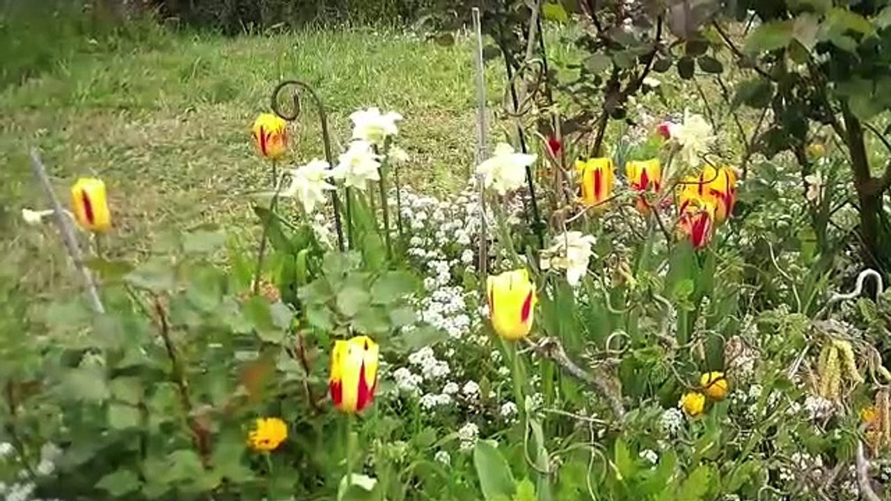 Un concerto de Vivaldi, violon et piano