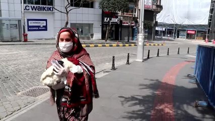 "Pamuk" isimli horozunu izin alarak veterinerde tedavi ettirdi