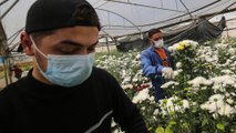 Gaza coronavirus lockdown makes things worse for its farmers
