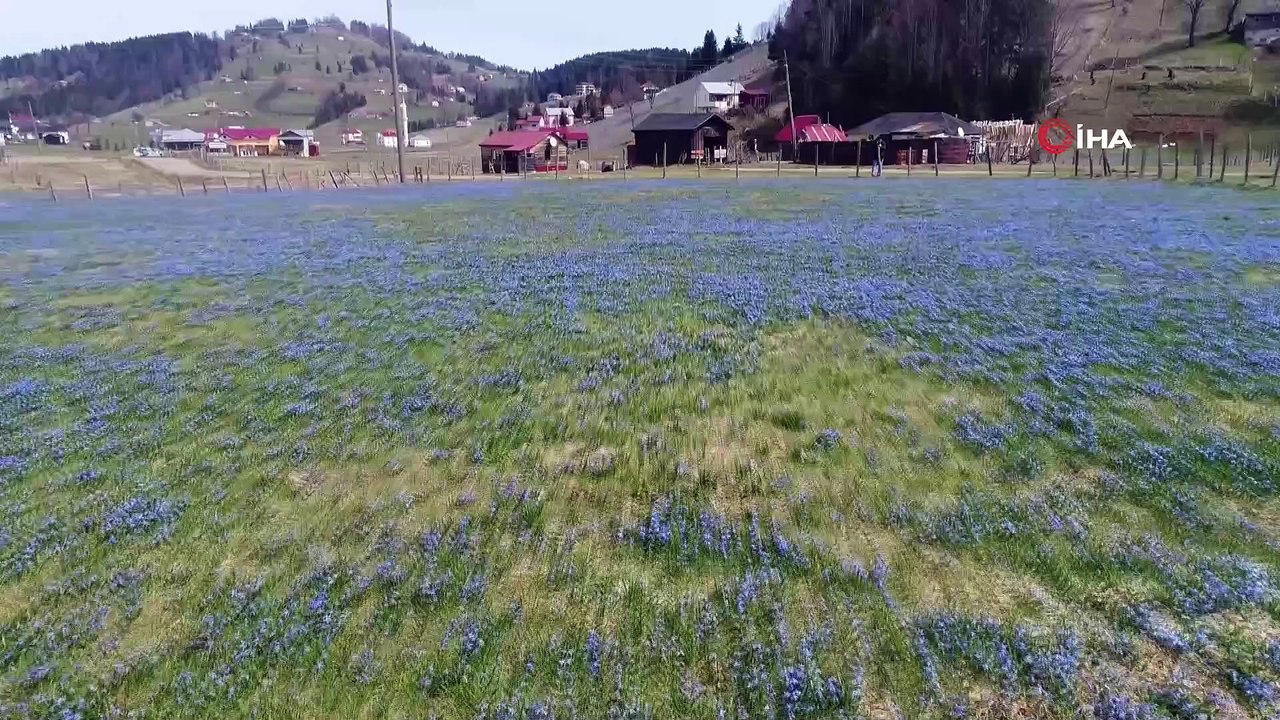 'Mor Yayla' ismi ile tanınan Kadıralak Yaylasında 'Korana' sessizliği