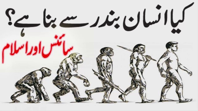 Did Humans Evolve from Apes | How did God Created Man | did humans evolve from apes | apes,planet of the apes,did humans evolve,dawn of the planet of the apes,how did god created man,did humans descend from aliens,human evolution,where did humans evolv