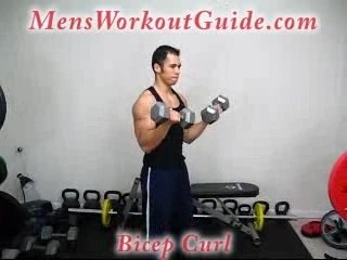 Exercise of the Day:  Bicep Curl