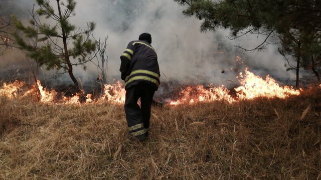 Ukraine: Air pollution from forest fires also fuels isolation