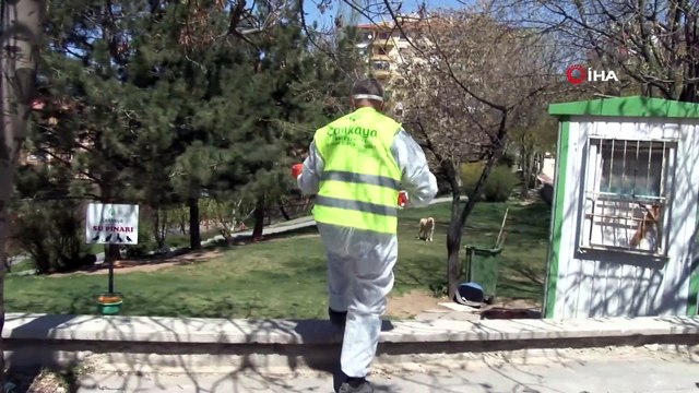 Çankaya Belediyesi, sokak hayvanlarını unutmadı