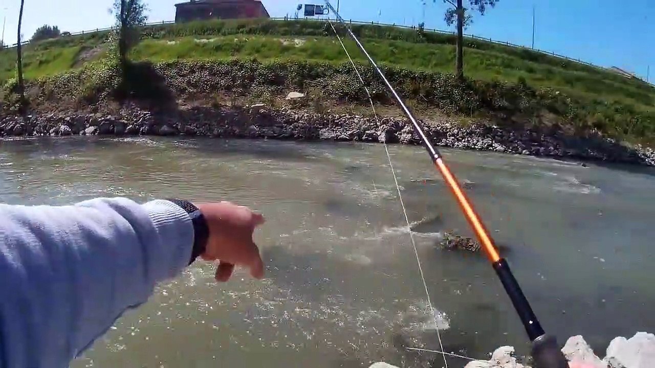 Catfish Spinning the Joy and the Pain (Spinning al Siluro, Gioie e Dolori)