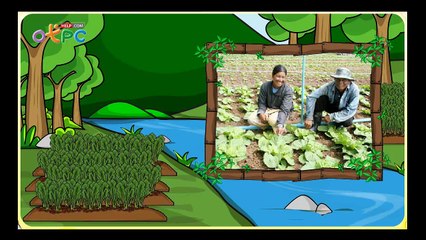 ลักษณะของเมืองและชนบท - สื่อการเรียนการสอน สังคม ป.3