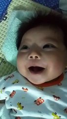 Cuộc Trò Chuyện Siêu Đáng Yêu của Lion và Ngoại