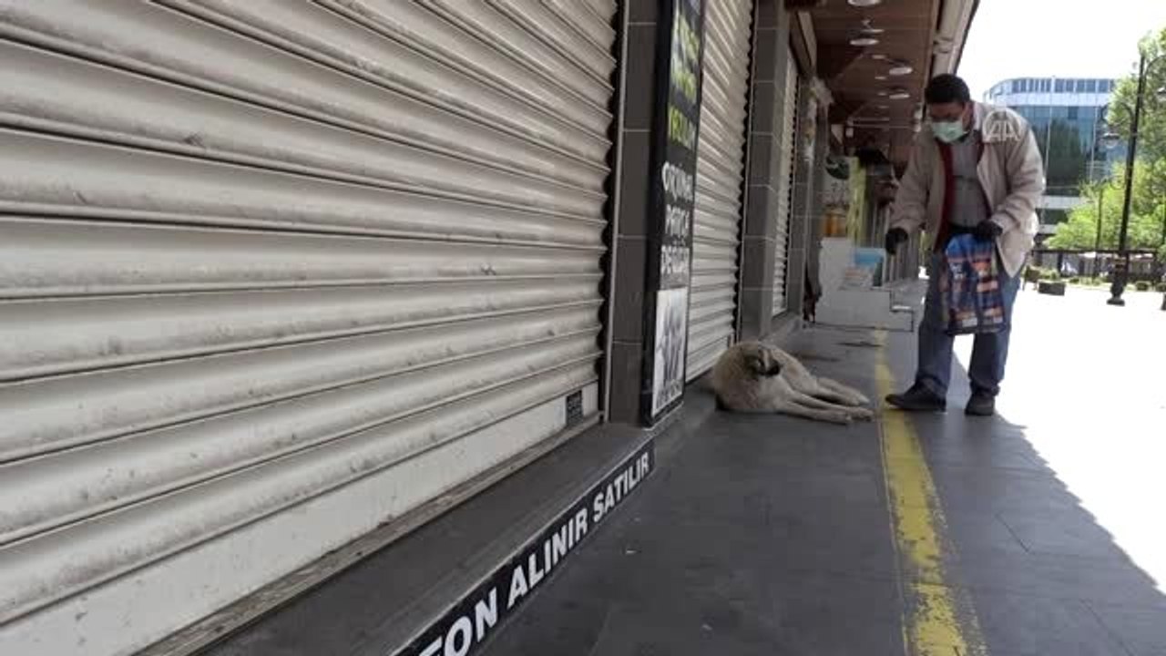 Sokağa çıkma kısıtlamasının uygulandığı Diyarbakır'da sokak hayvanları unutulmadı