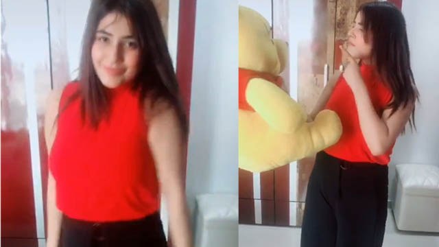 Shehnaaz Gill ने जमकर किया Dance बड़ी वजह है, Shehnaaz Gill TikTok Video | FilmiBeat