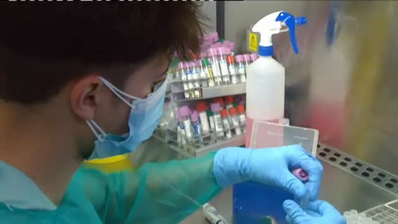 Se ultiman los preparativos para poner en marcha los robots que agilizan las PCR