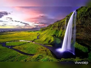 NATURE BOUNCE BACK IN LOCKDOWN.