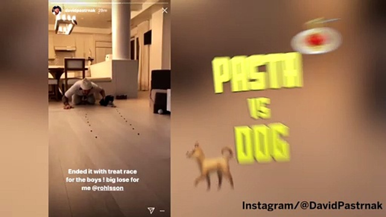 Pasta vs. Dog: David Pastrnak Races Dog In Eating Contest