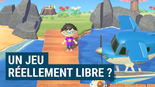 Êtes vous PRISONNIER de ANIMAL CROSSING : NEW HORIZONS ?
