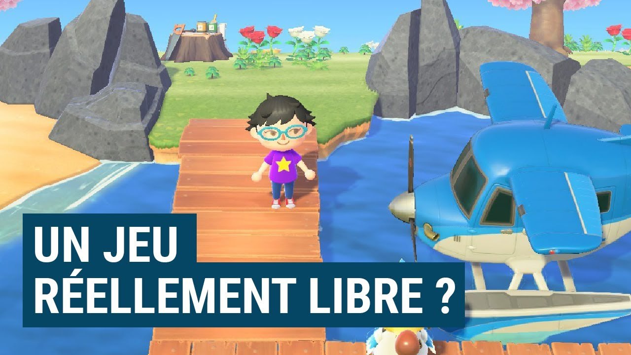 Êtes vous PRISONNIER de ANIMAL CROSSING : NEW HORIZONS ?