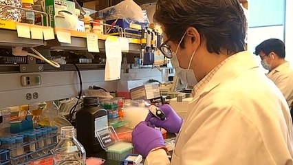 What if a COVID-19 treatment could be ready within weeks?