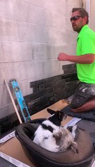 It's Hard to Work When Clients Argue