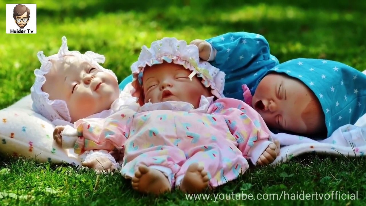 5 Mysterious Things Found In Forest,mysterious things,mysterious,5 mysterious things found in forest,mysterious things in the world urdu,mysterious discoveries,mysterious things ever found in forest,5 mysterious things f