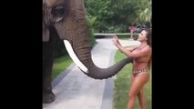 ELLA QUERIA UNA FOTO CON EL ELEFANTE | SHE WANTED A PICTURE BUT HE DIDN´T