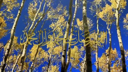 الشيخ زكي البحراني - حديث الكساء