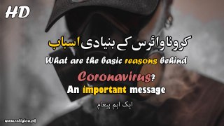 Coronavirus in Urdu HD - What are the basic reasons behind COVID-19? An important message about Corona Virus
