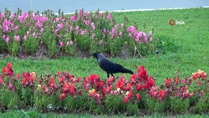 Aydınlılar evde kalınca, şehir sessizliğe büründü