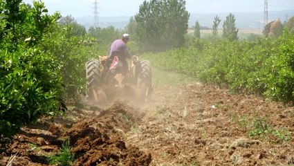 Herkes evde kalıyor, çiftçiler alın teri döküyor
