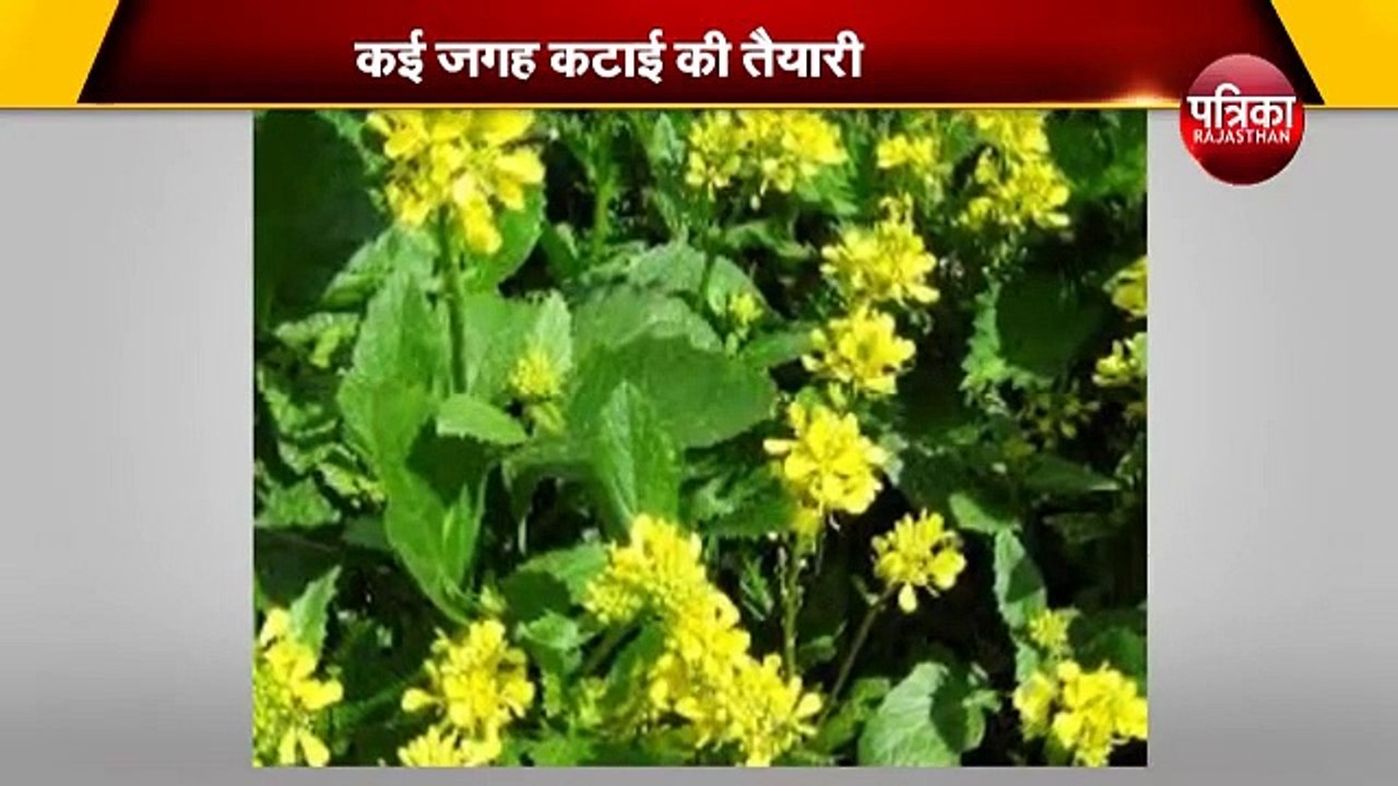 लॉकडाउन ने किसानों की चिंता बढ़ाई