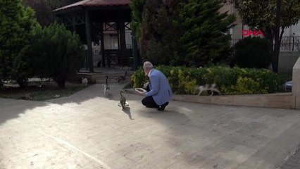 MERSİN Sokak hayvanları için parklara mama ve su bırakıldı