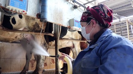 Korona virüs süt üreticisinin hızını kesemedi