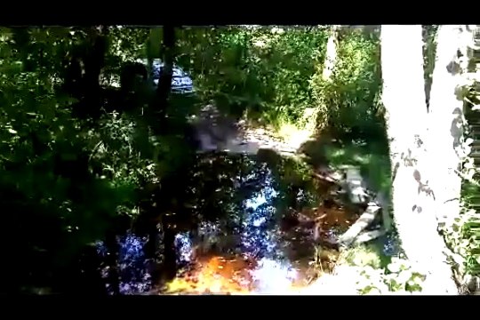 Секреты ловли чехони