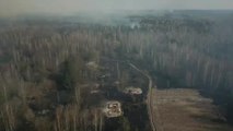 Ucrania lucha contra una serie de incendios forestales provocados en zonas próximas a la planta de Chernobyl