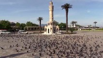 Tarım ve Orman İzmir İl Müdürlüğü ekiplerinden, sokak hayvanlarına yiyecek