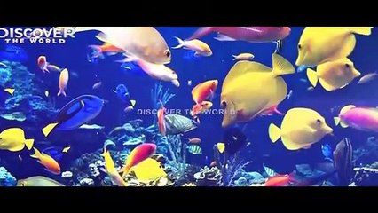 What Will Happen If All Ice Melt