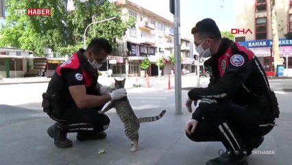 Sokakta yiyecek arayan kediyi yunus ekibi besledi