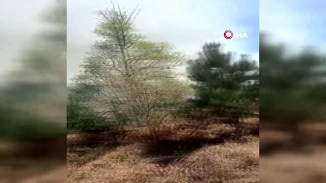 Kartal'daki Aydos ormanında yangın çıktı. Olay yerine itfaiye ekipleri sevk edildi.
