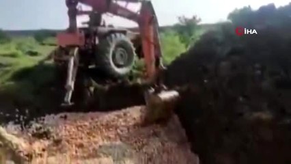 - İran'da tavuk tüketimi azalınca yüz binlerce civciv itlaf edildi