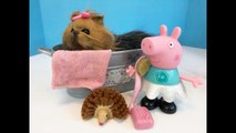 DOG BATH with American Girl Tub Set and TALKING PEPPA PIG Toys-