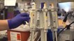 مختبر ووهان الصيني للفيروسات ينفي الاتهامات الأميركية بتصنيع كورونا