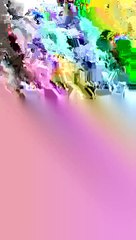 Single Leg Roll with Daniel Soares