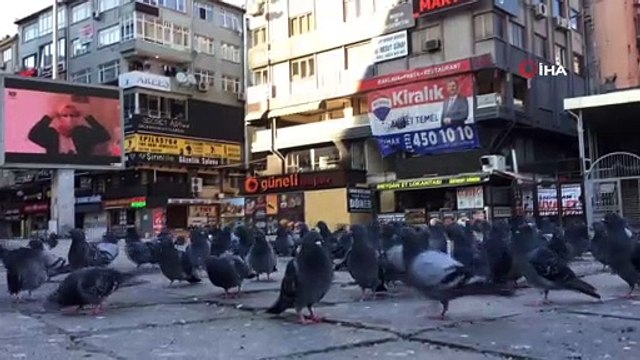 Sokağa çıkma kısıtlamasında polis, aç kalan güvercinleri elleriyle besledi