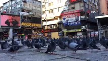 Sokağa çıkma kısıtlamasında polis, aç kalan güvercinleri elleriyle besledi