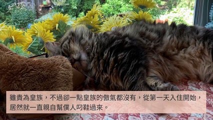 adgeek_teepr_curation_mobile_bottom-copy3-20200419-22:38