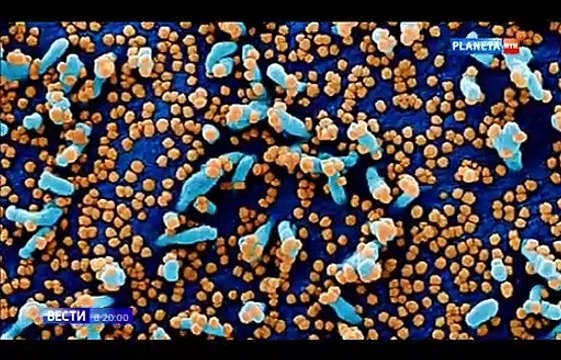 Barış Çevik feat. Azap HG - Ne Fark Eder